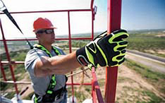 RigDog Impact Glove