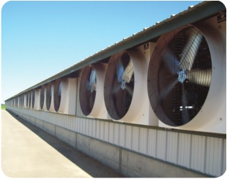 Schaefer FFM485G1 Fiberglass Exhaust Fans Easily Mount Into Walls With A 12 Inch maximum Thickness