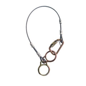 DBI/SALA 4' Protecta PRO Fixed Dual-Ring 1/4 