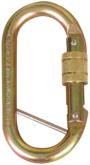 Oval carabiner with Captive Eye 