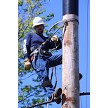Extremely durable pole strap with wear indicator 