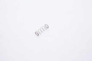 Bradley 269-578 Valve Spring 