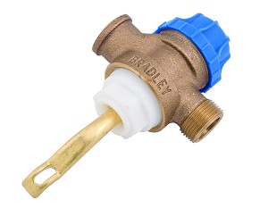 Bradley S07-066 Foot Valve Assembly 