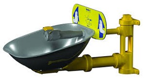 Bradley S19224BZ Eyewash, Stainless Steel Bowl 