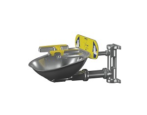  Bradley S19224SS Stainless Steel Eye-Face Wash and Bowl 