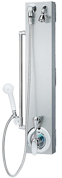  Bradley S23-1061 Shower, ADA Pivoting Surface Mount 