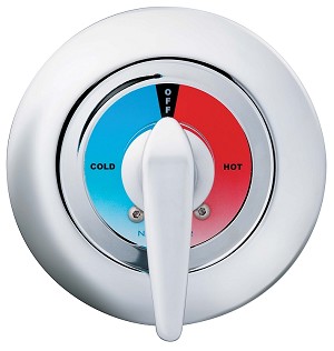 Bradley S59-2005 Thermostatic Valve for Shower 