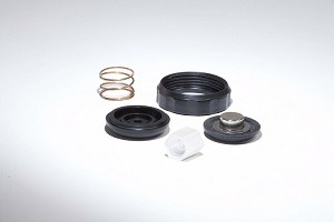 Bradley S65-261 AST4 Valve Repair Kit 